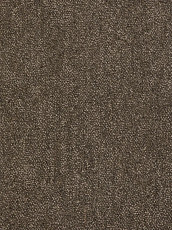 Ковролин Haima Coral 06 фото 1 | FLOORDEALER